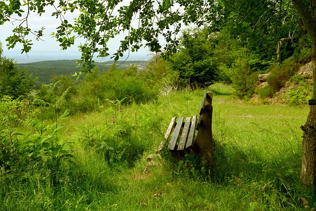 量的人力和 量的人力和