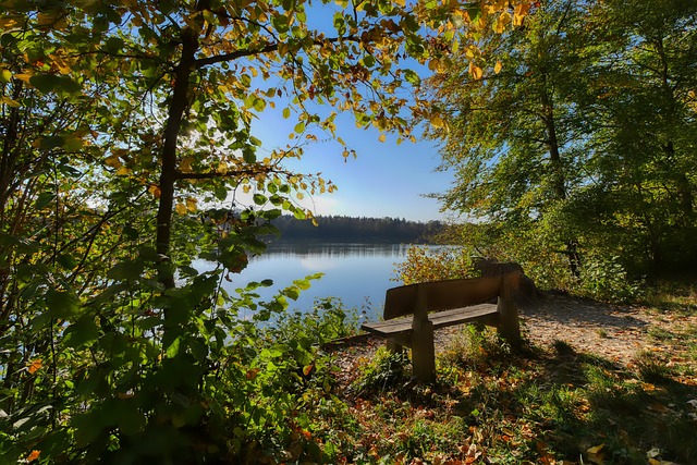 随着客流量 随着客流量